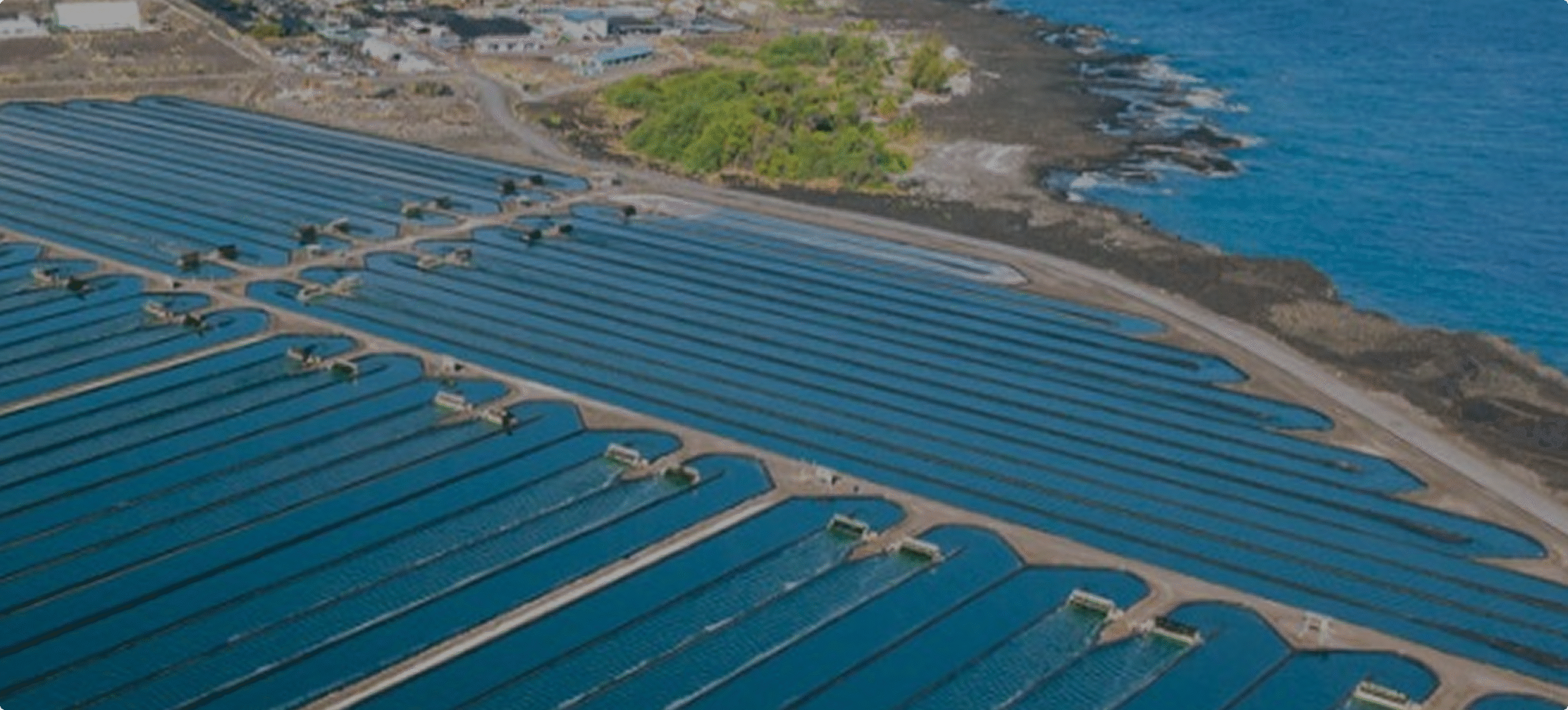 WhatsApp Image 2025-07-16 at 6.18.19 PM (1) 8-1