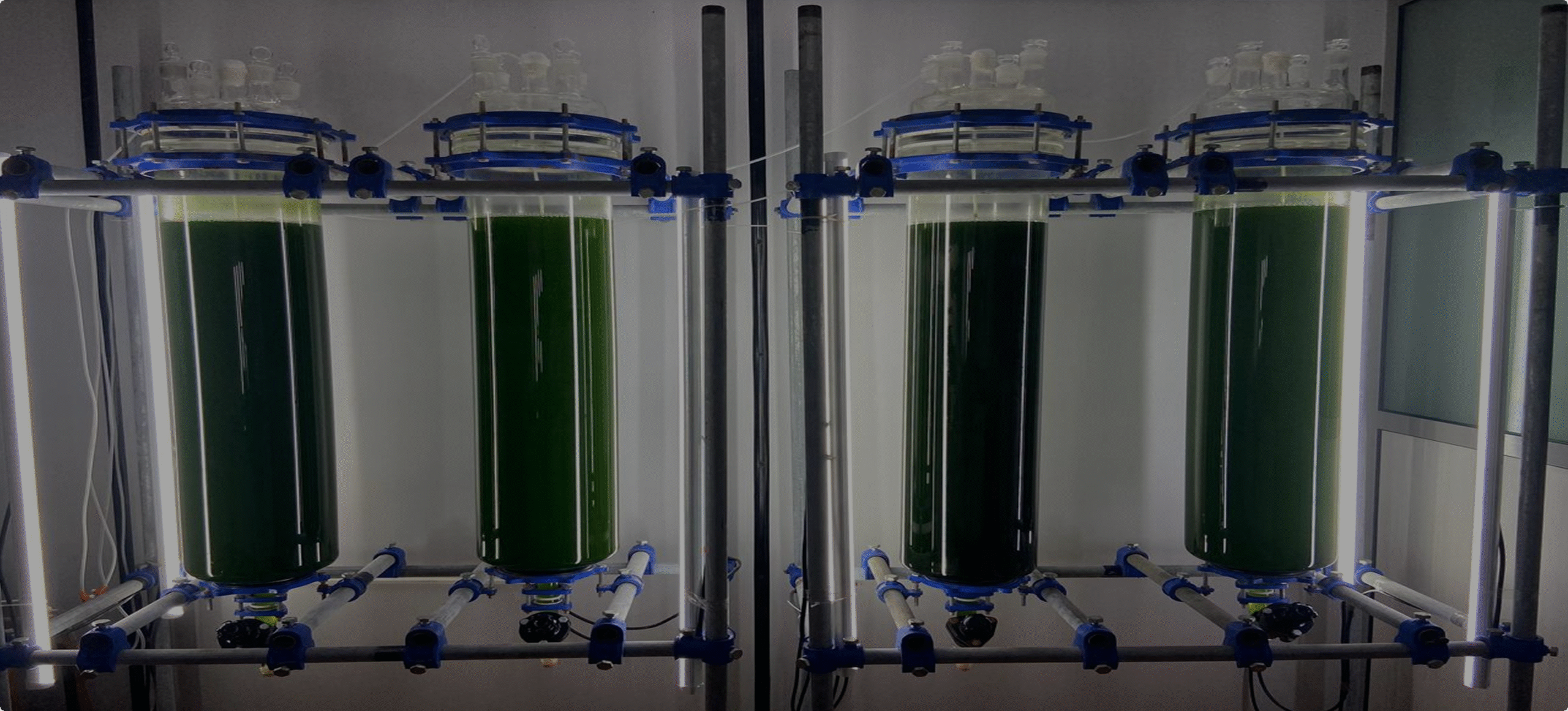 WhatsApp Image 2025-07-16 at 6.18.19 PM (1) 9-1